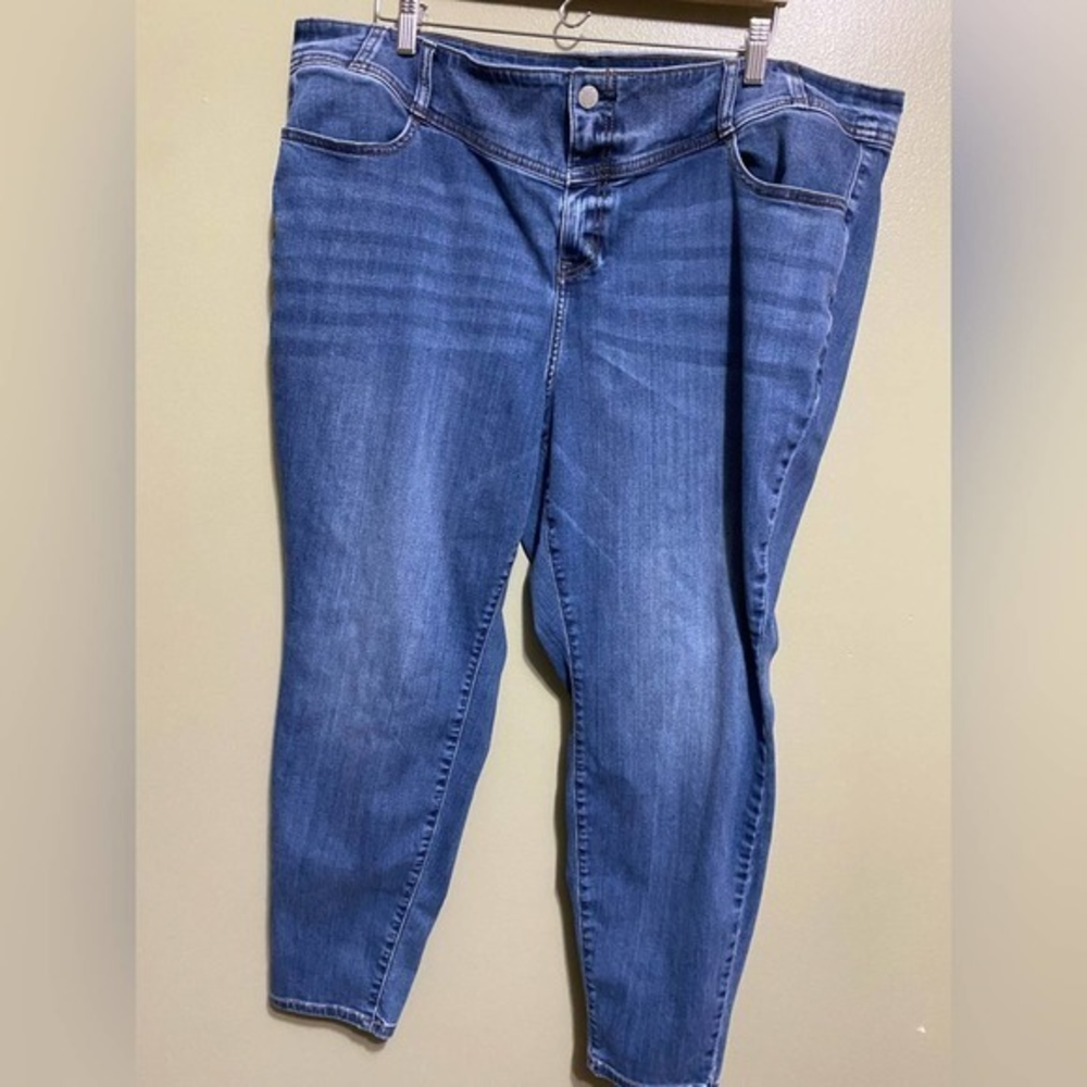 Lane Bryant jeans, size 24.